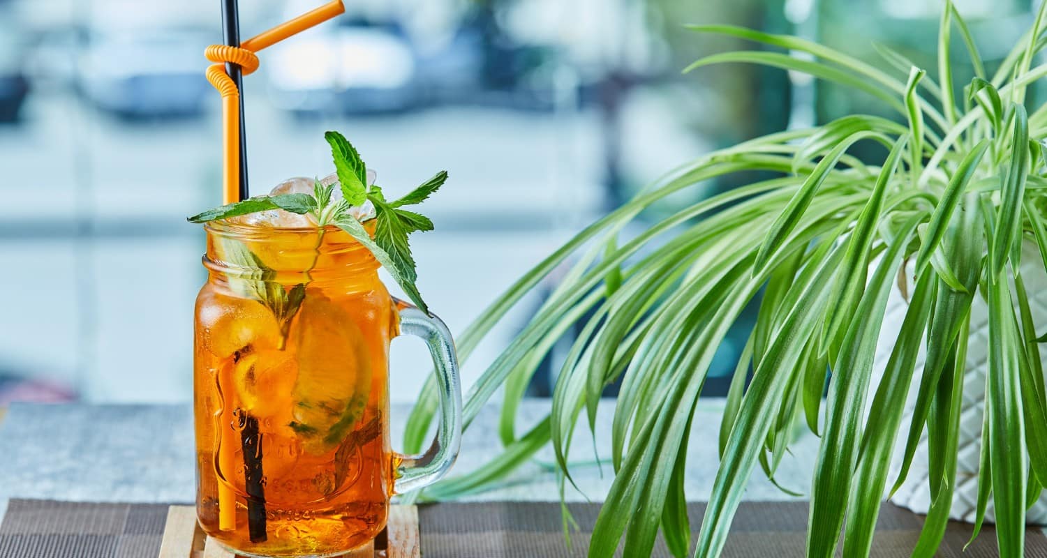 Juicy lemonade with straw mint